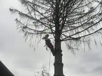 l'Écureuil Doubiste