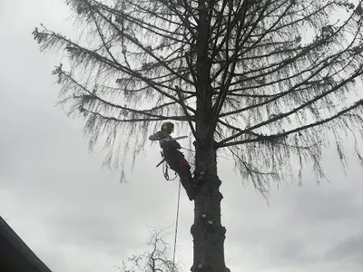 l'Écureuil Doubiste