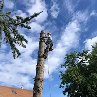 Jean Elagage Abattage d'Arbre Saumur