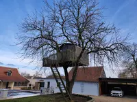 Tinten Élagage