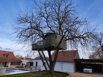Tinten Élagage
