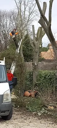 Monnet Fils Elagage