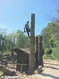Guigonnat Elagage