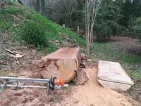 Robinwoods