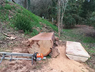 Robinwoods