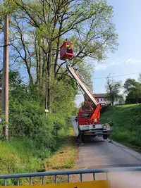 Ent Bromberger