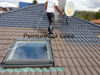 Millanes José Couvreur Viarmes Artisan Couvreur 95 Couverture Ravalement Peinture Val d'Oise