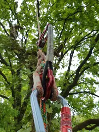 Le Chapperon Vert - Arboriste Élagueur
