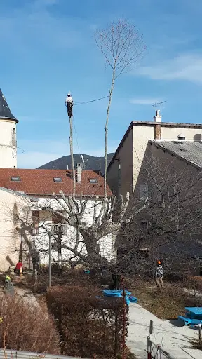 Montoarbres