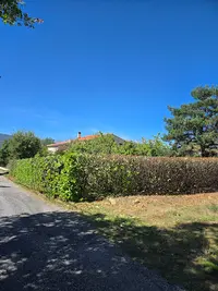 Espaces Verts,élagages Sok