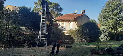 Falzon Élagage