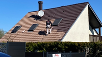 Entreprise Georges R Couvreur Peintre Nettoyage de Toiture