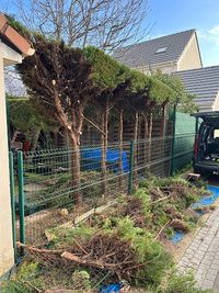 Mr.gousandier Elagage Abatage Entretien Espaces Verts