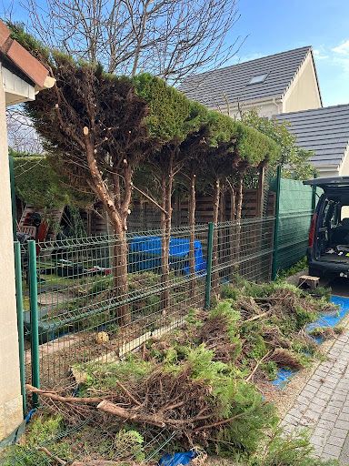 Mr.gousandier Elagage Abatage Entretien Espaces Verts