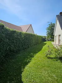 Wiss Elagage 76 Sotteville-lès-rouen