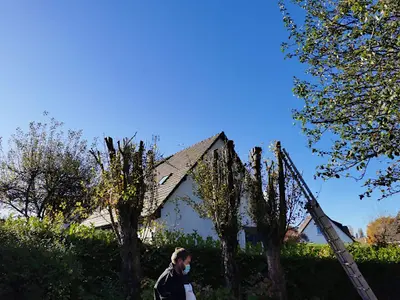 Yung Espace Vert