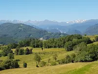 Arborigène - Elagage Délicat