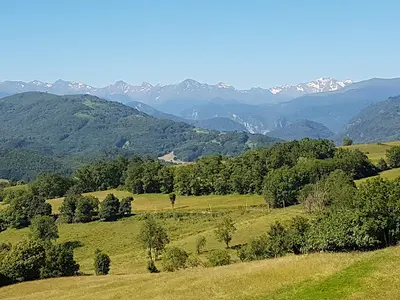 Arborigène - Elagage Délicat