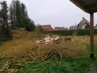 Extreme Elagage