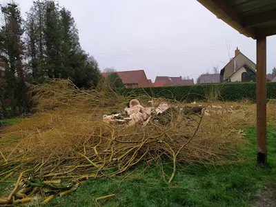 Extreme Elagage