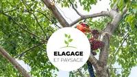 Elagage Paysage