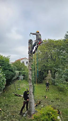 Au Près des Arbres
