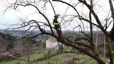 l'Arboriste Grimpeur