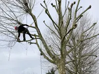 Mr.rj Paysage | Élagage D’arbres, Taille de Haies, Débroussaillage, Paysagiste Eure-et-loir, Espaces Verts 28
