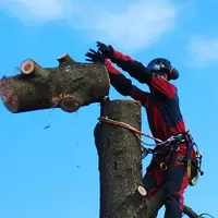 Ecoverde Parcs et Jardins - Élagueur Professionnel Yvelines (78)