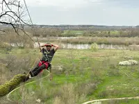 Tree Services Sasu