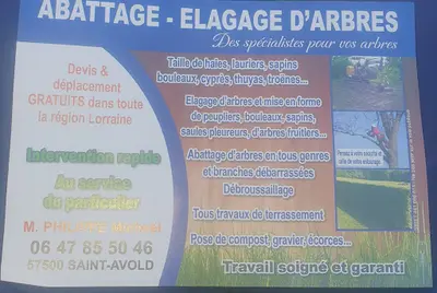 Élagage Michael