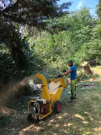 Elagage Brive - l'Arbre en Soi