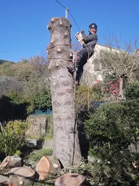 A-furesta - Élagage,abattage,espaces Verts