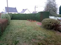 Jacob Elagage Paysagiste Elagueur 22