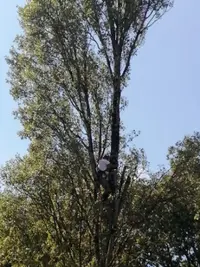 Entreprise Claudio