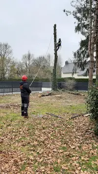 Sarl Trouvé Élagage