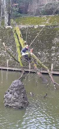 Élagueur de France Mr Menager