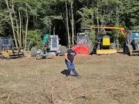Arbo Environnement
