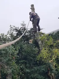 Entreprise He Elagueur Jardinier Paysagiste Saint Jean d'Angely