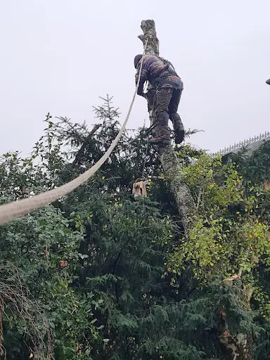 Entreprise He Elagueur Jardinier Paysagiste Saint Jean d'Angely