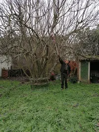 A la Main Verte