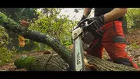 Au Cœur de l'Arbre - Vincent Gueble - Service d'Élagage, d'Abattage et d'Aménagement Paysagé en Ariège