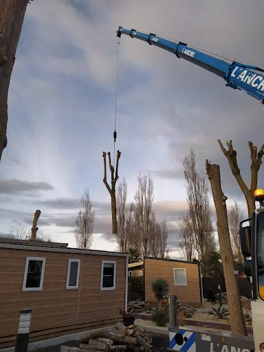 Le Coeur des Arbres - Elagage Abattage Sète