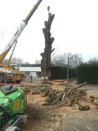 Auprès de Mon Arbre Perrillat Bottonet Axel