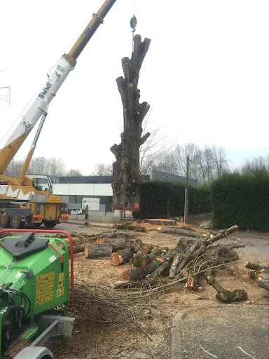 Auprès de Mon Arbre Perrillat Bottonet Axel