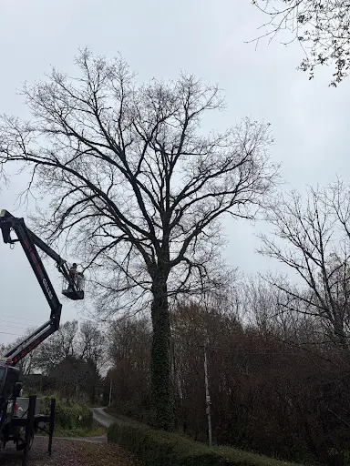 l'Élagueur du Lot