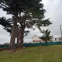 Elagueurs de Vendée - Guedon Elagage