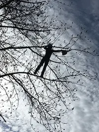 Arbre et Homme
