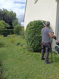 Jardinier - Ashot