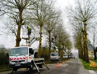 Gc Service Forestier